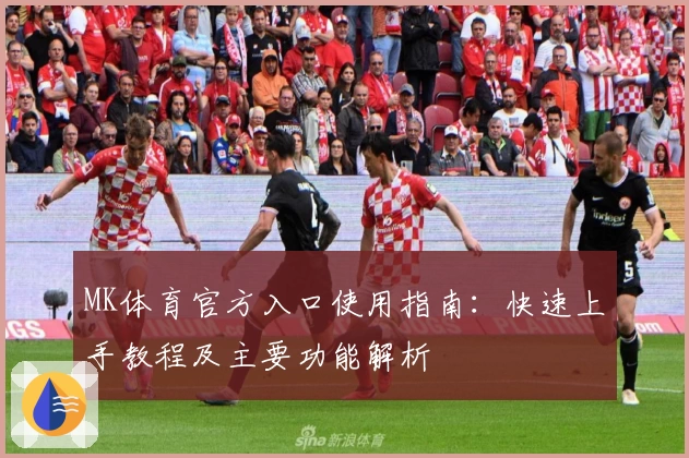 MK体育官方入口使用指南：快速上手教程及主要功能解析