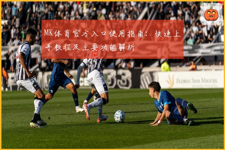 MK体育官方入口使用指南：快速上手教程及主要功能解析